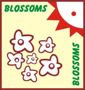 Blossom logo